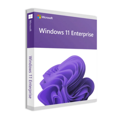 Microsoft Windows 11 Enterprise