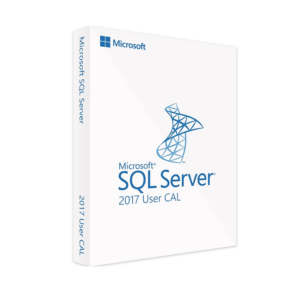 Microsoft SQL Server 2017 Standard – 1 User CAL