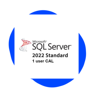 Microsoft SQL Server 2022 Standard - 1 User CAL