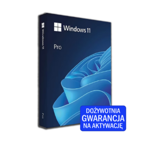 Microsoft Windows 11 Professional (OEM)