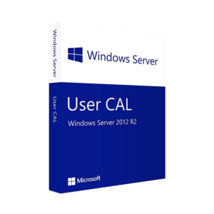 Microsoft Windows Server 2012 R2 - 1 User CAL